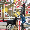 Laura Greiner Tierfotografie, Norddeutschland